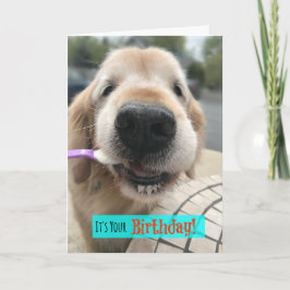 Tarjeta Funny Golden Retriever te trata tu propio cumpleañ