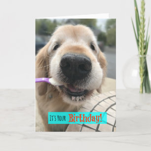 Tarjeta Funny Golden Retriever te trata tu propio cumpleañ