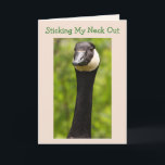 Tarjeta Funny Goose Chiste Birday Card<br><div class="desc">Foto de una ganso canadiense contra un fondo verde exuberante. Dentro hay una foto de un chisme para agregar a la celebración de cumpleaños. Personalice los mensajes y haga su propio saludo divertido. Fotos ©Christine Greenspan.</div>