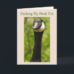 Tarjeta Funny Goose Chiste Birday Card<br><div class="desc">Foto de una ganso canadiense contra un fondo verde exuberante. Dentro hay una foto de un chisme para agregar a la celebración de cumpleaños. Personalice los mensajes y haga su propio saludo divertido. Fotos ©Christine Greenspan.</div>