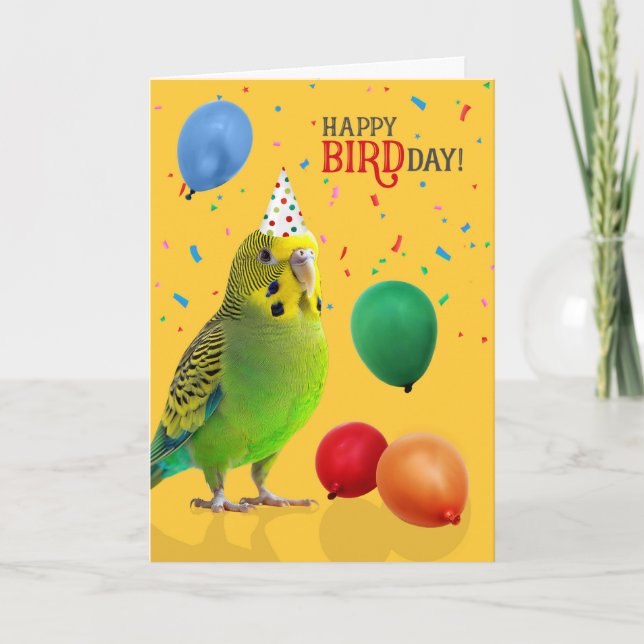 Tarjeta Funny Green and Yellow Budgie Parakeet Birthday (Anverso)