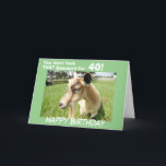 Tarjeta Funny Green Goat Humor Personalizado Cumpleaños<br><div class="desc">Cabra linda en un exuberante pasto verde mira desde la tarjeta hacia ti y envía su divertido humor de cumpleaños "¡No miras ese baaaaa'd para "Tu año de cumpleaños"! En el interior de la tarjeta se dice "Sólo Kidding... ¡Te ves fabuloso y espero que tengas el mejor cumpleaños de la...</div>