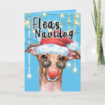 Funny Greyhound Santa dog Navidades fleas navidog
