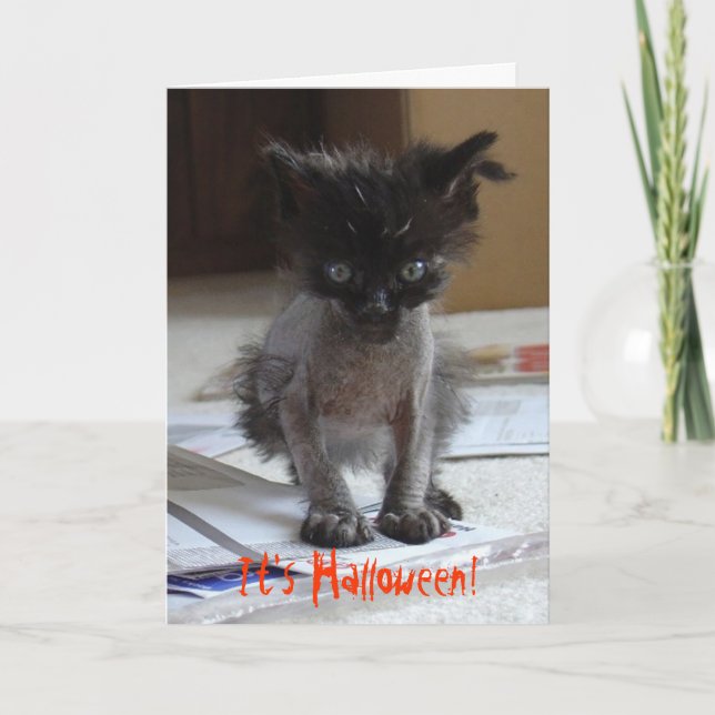 Tarjeta Funny Halloween Zombie Kitty Card (Anverso)
