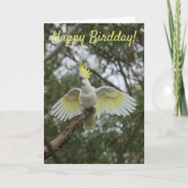 Tarjeta Funny Happy Bird Day Birkatoo Australia