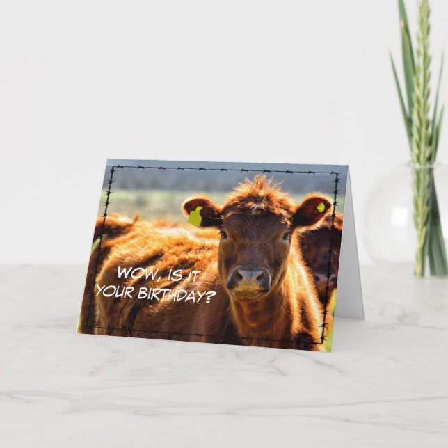 Tarjeta Funny Happy Birthday Country Farm Mail Farm Tales  (Anverso)