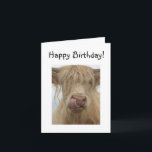 Tarjeta Funny Highland Cow Birthday<br><div class="desc">Tarjeta de felicitación de cumpleaños de la personalizar Highland Cow Pulsando sobre el personalizar y cambia la redacción a lo que quieras!</div>