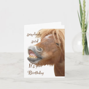 Tarjeta Funny Horse Birday Card