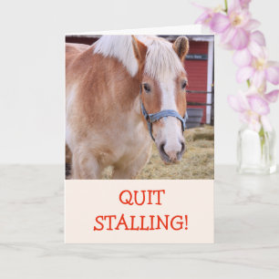 Tarjeta Funny Horse Chiste Pun Get Well Card