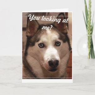 Tarjeta Funny Husky Birthday Card