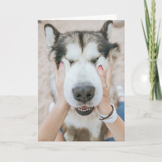 Tarjeta Funny Husky Dog Birday Card (Anverso)