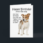 Tarjeta Funny Jack Russell Terrier Birthday Card<br><div class="desc">Esta graciosa tarjeta de cumpleaños no es sólo para los amantes de Jack Russell Terrier.</div>