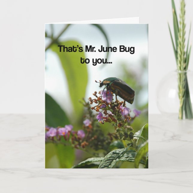 Tarjeta Funny June Bug Greeting Card (Anverso)