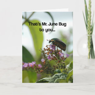 Tarjeta Funny June Bug Greeting Card