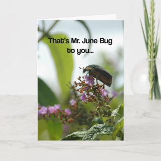 Tarjeta Funny June Bug Greeting Card