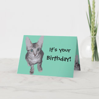 Tarjeta Funny Kitten Birthday