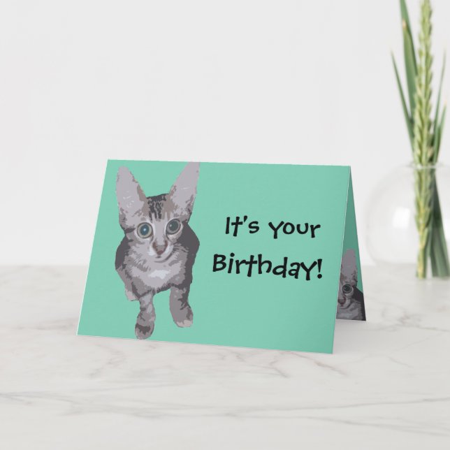 Tarjeta Funny Kitten Birthday (Anverso)