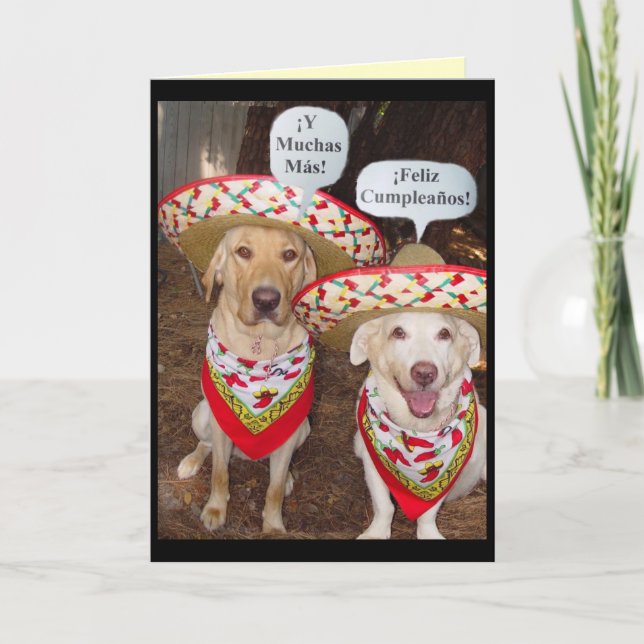 Tarjeta Funny Lab Birday Card en español (Anverso)