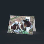 Tarjeta Funny Lemur Birthday<br><div class="desc">Graciosa tarjeta de felicitación de cumpleaños con dos lemures esperando el pastel</div>