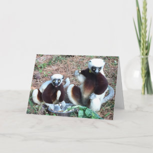 Tarjeta Funny Lemur Birthday
