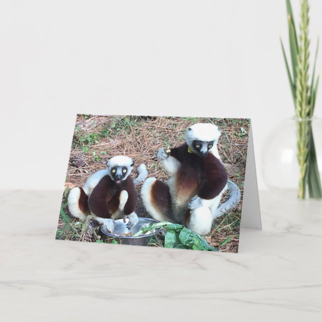 Tarjeta Funny Lemur Birthday (Anverso)