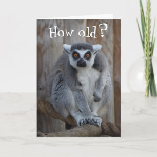 Tarjeta Funny Lemur Card