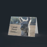 Tarjeta Funny Llama Birthday (2), hablo llama fluida...<br><div class="desc">Graciosa tarjeta de cumpleaños de Llama,  hablo llama fluida...  ¡humorística de cumpleaños para tu amante favorito de las llamas!</div>