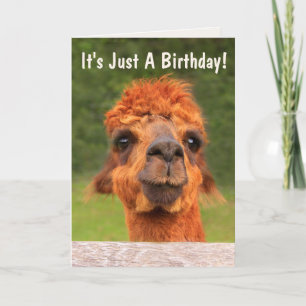 Tarjeta Funny Llama Wise Consejos Cumpleaños