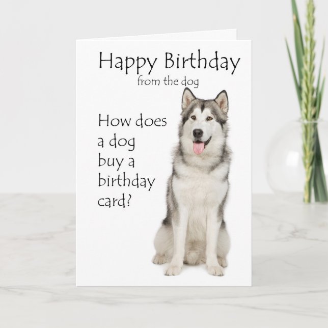 Tarjeta Funny Malamute Birthday Card (Anverso)