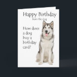 Tarjeta Funny Malamute Birthday Card<br><div class="desc">Esta divertida tarjeta de cumpleaños de Alaska Malamute es perfecta para cualquier amante de Malamute.</div>