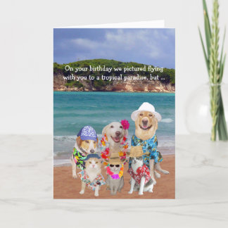 Tarjeta Funny Mascotas Paraíso Tropical Cumpleaños