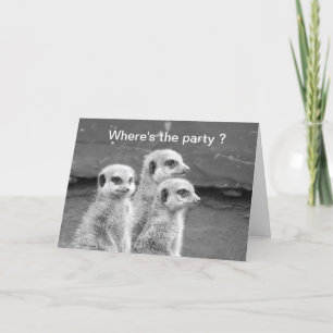 Tarjeta Funny Meerkat cumpleaños