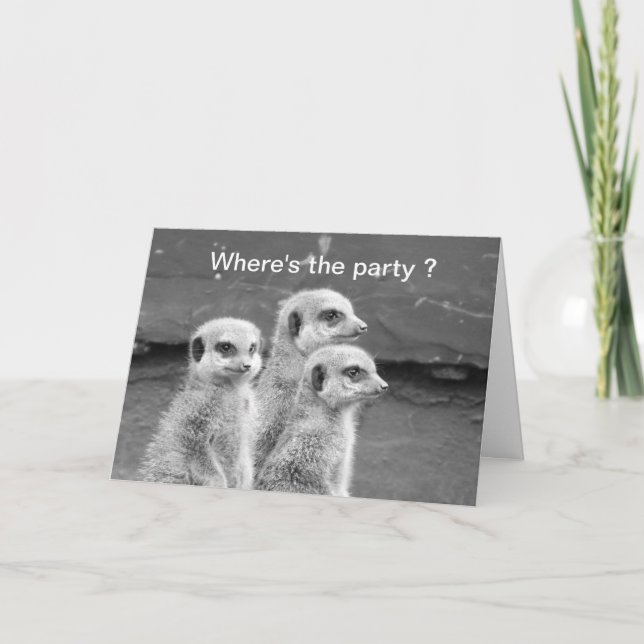 Tarjeta Funny Meerkat cumpleaños (Anverso)