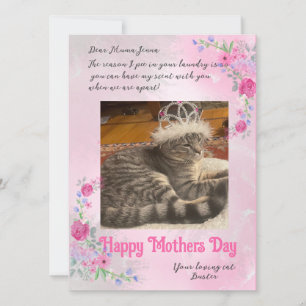Tarjeta Funny Mothers Day Love From Bad Cat Photo Card