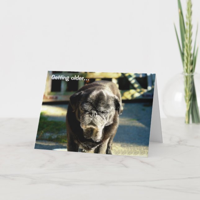 Tarjeta Funny Old Black Pug Birday Card (Anverso)