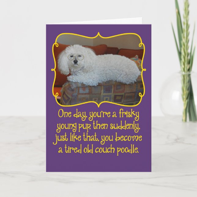 Tarjeta Funny Old Couch Poodle Birday Card (Anverso)