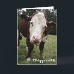 Tarjeta Funny Old Fart Cow Birday Card<br><div class="desc">Este marrón de buey de la hervía blanca le saca su gran lengua de soborno. Capturado en una fotografía de color de primer plano. con la versión escrita de "soplando una frambuesa" en el frente, y un sarcástico comentario mayor y más sabio en el interior. Personalizar cualquier artículo con tu...</div>