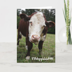 Tarjeta Funny Old Fart Cow Birday Card