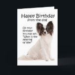 Tarjeta Funny Papillon Birthday Card<br><div class="desc">La graciosa tarjeta de cumpleaños no es sólo para los amantes del Papillon.</div>