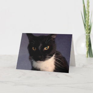 Tarjeta Funny Personalizado "Del Gato" Cumpleaños