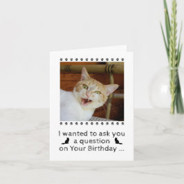 Tarjeta Funny Photo Cat Dog Mascota Birthday Card