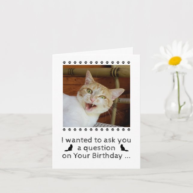 Tarjeta Funny Photo Cat Dog Mascota Birthday Card (Planta pequeña)