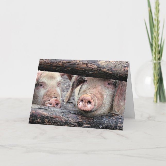 Tarjeta Funny Pig Personalizado Birday Card (Anverso)