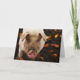 Tarjeta Funny Pig Personalizado Birday Card