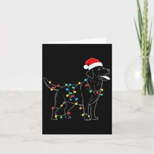 Tarjeta Funny Santa Labrador Recuperador Navidades Luces s