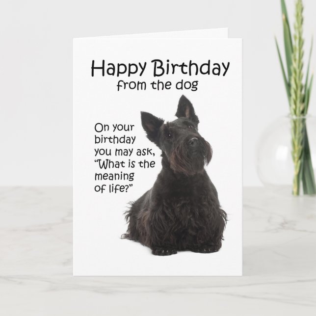 Tarjeta Funny Scottie Birthday Card (Anverso)