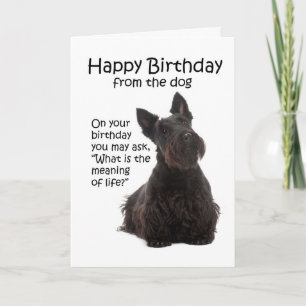 Tarjeta Funny Scottie Birthday Card