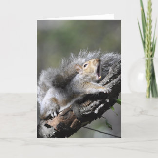 Tarjeta Funny Sleepy Squirrel Blank Card