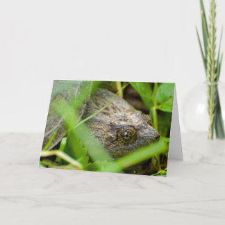 Tarjeta Funny snapping turtle belated birthday card