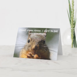 Tarjeta Funny Squirrel Birthday Card